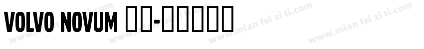 volvo novum 常规字体转换